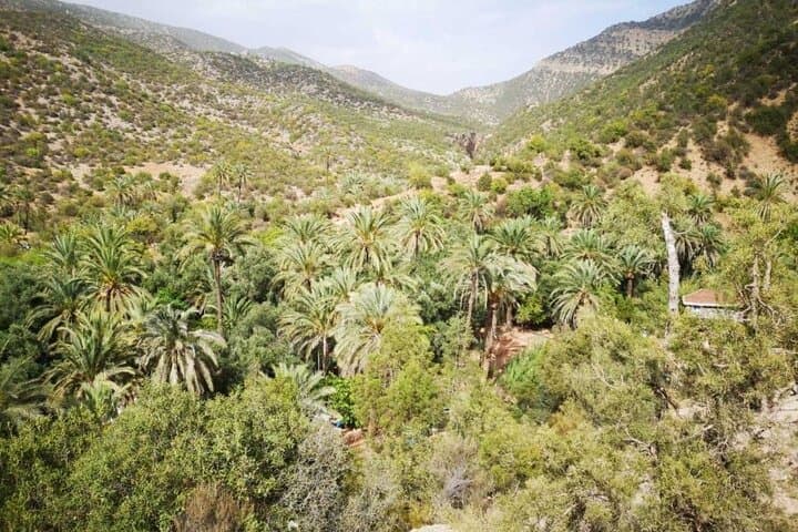 Timlalin Dunes & Paradise Valley Day Trip from Agadir: Sand, Sea and High Atlas Pools photo 4