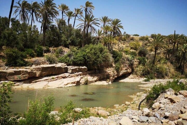 Timlalin Dunes & Paradise Valley Day Trip from Agadir: Sand, Sea and High Atlas Pools photo 6