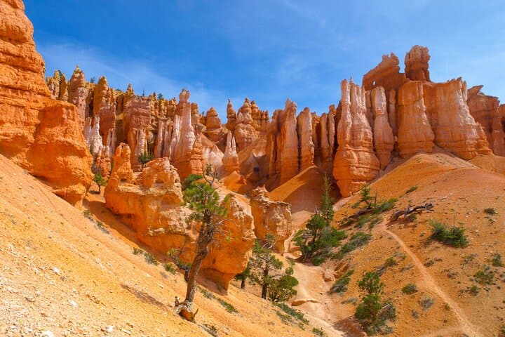 6-Day Southwest National Parks Loop from San Francisco: Zion, Bryce, Antelope & Grand Canyon photo 5