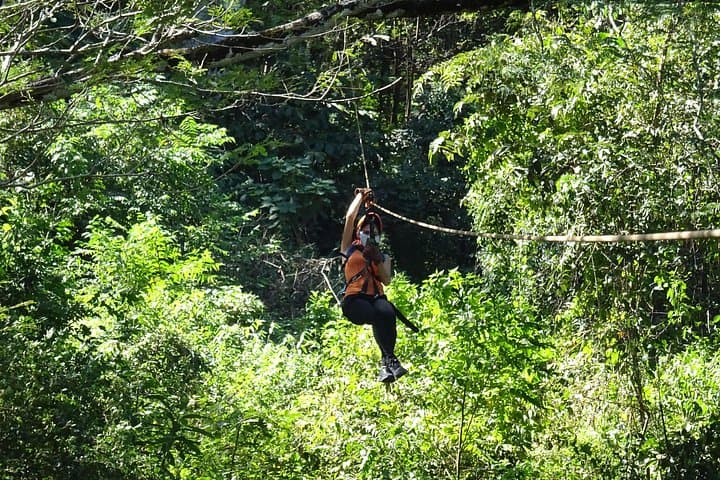 Treetop Zipline Adventure Near Tamarindo: Monkey Jungle Canopy Tour photo 1