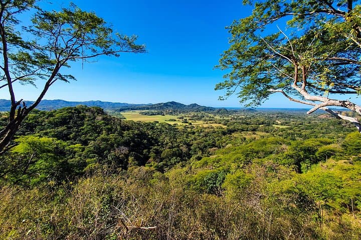 Treetop Zipline Adventure Near Tamarindo: Monkey Jungle Canopy Tour photo 4