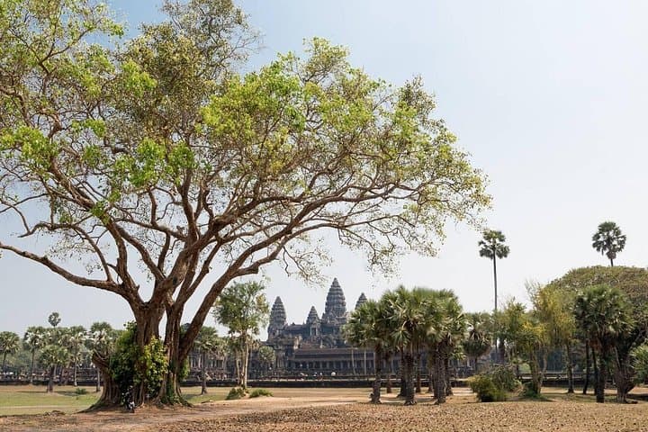 Angkor Wat, Angkor Thom & Elephant Terrace — Half-Day Morning Temple Tour from Siem Reap photo 4