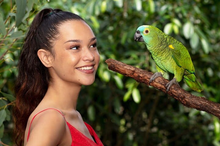 kuranda-wildlife-deluxe-multi-attraction-pass-visit-koalas-butterflies-and-aviary photo 2