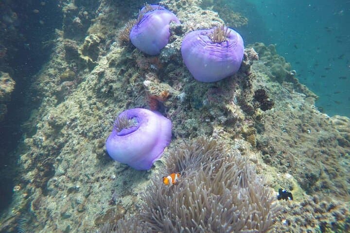 Krabi 7-Islands Sunset Tour with Beach BBQ & Night Snorkeling photo 6
