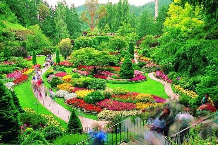 From Vancouver to Mile Zero: Victoria Ferry Day Tour & Butchart Gardens photo 2