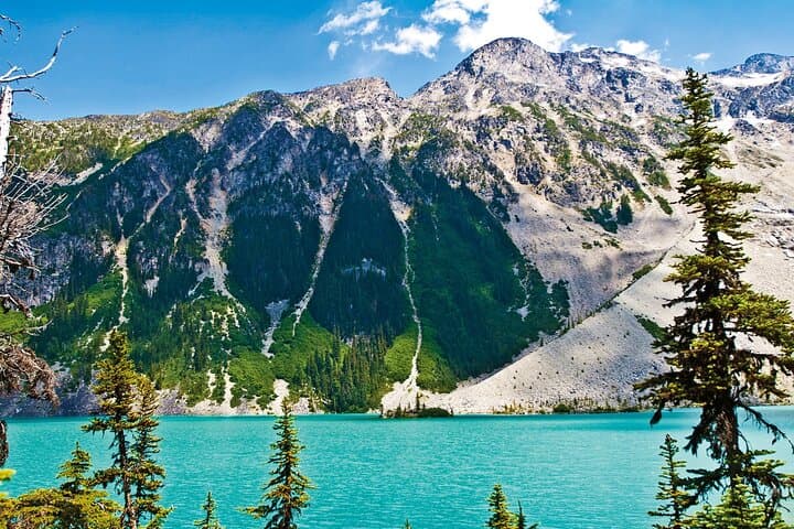Sea to Sky: Shannon Falls and Whistler Day Trip from Vancouver photo 4