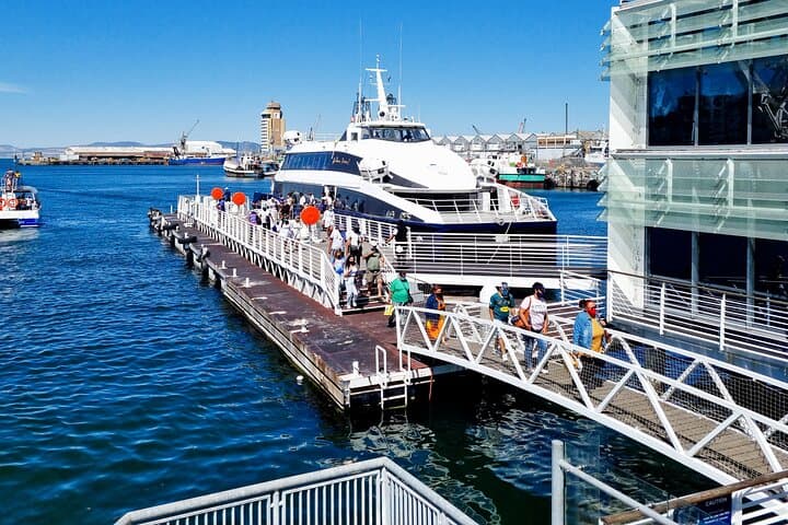 Robben Island Museum Tour: Nelson Mandela Prison Ferry from Cape Town