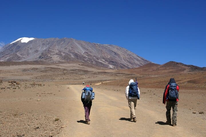 Lemosho Route Kilimanjaro: 8-Day Scenic Ascent from Moshi