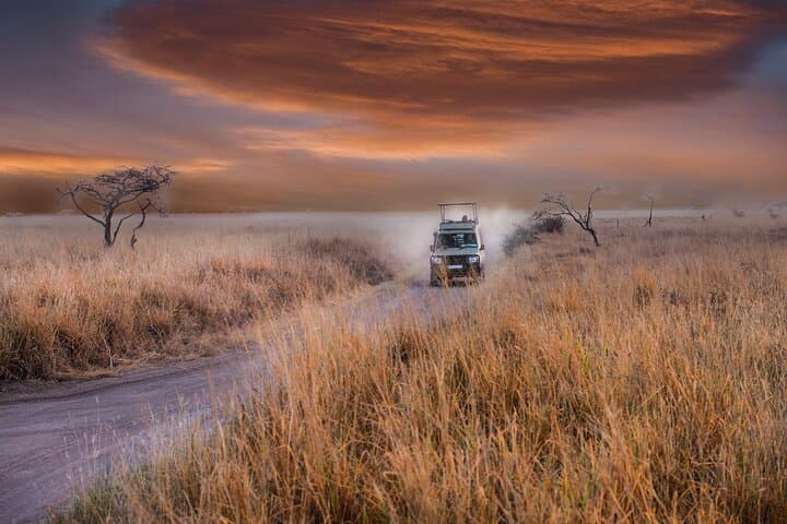 Day Trip to Tarangire National Park — Best Chance for Big Cats and Elephants photo 1