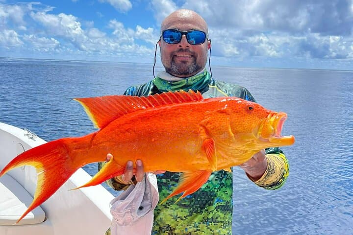 Seychelles Big-Game Fishing: Offshore Angling in the Indian Ocean photo 2