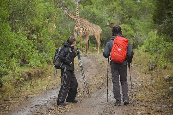 3-Day Mount Meru Trek from Arusha — Summit, Kilimanjaro Views & Walking Safari