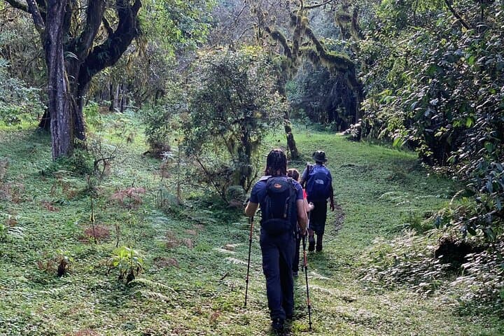 3-Day Mount Meru Trek from Arusha — Summit, Kilimanjaro Views & Walking Safari photo 3