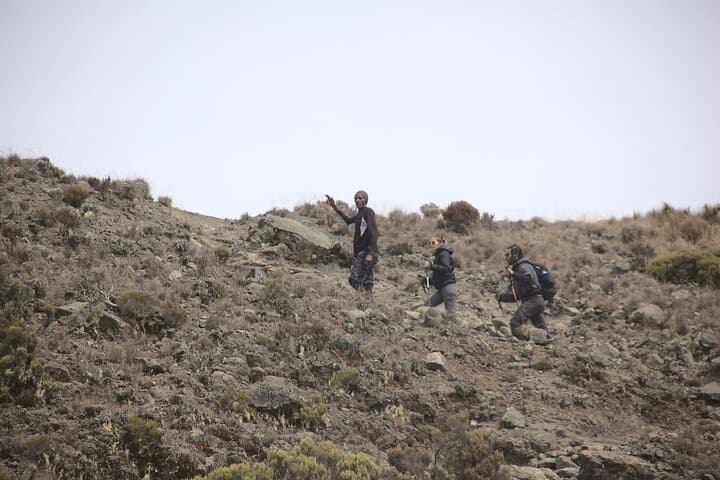 3-Day Mount Meru Trek from Arusha — Summit, Kilimanjaro Views & Walking Safari photo 5