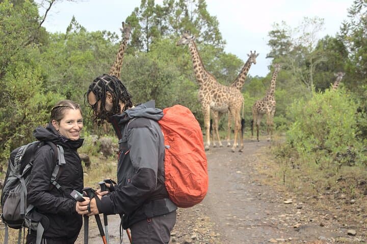 3-Day Mount Meru Trek from Arusha — Summit, Kilimanjaro Views & Walking Safari photo 6