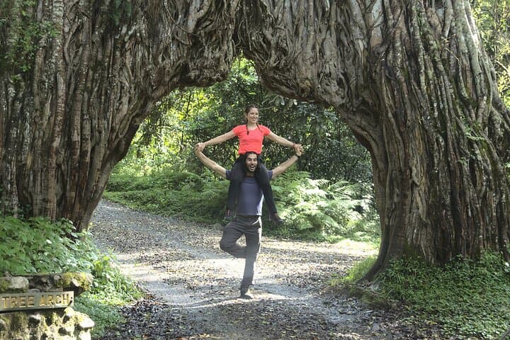 Mount Meru 4-Day Hike: Walking Safari, Summit Ridge and Arusha Views