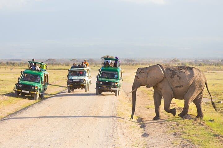 Fly-In Serengeti and Ngorongoro: 3-Day Air Safari from Arusha photo 2