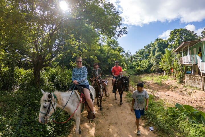 Roatán Horseback Riding, West End Village & West Bay Beach Pass Day Trip photo 2
