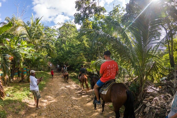 Roatán Horseback Riding, West End Village & West Bay Beach Pass Day Trip photo 3