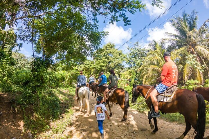 Roatán Horseback Riding, West End Village & West Bay Beach Pass Day Trip photo 4