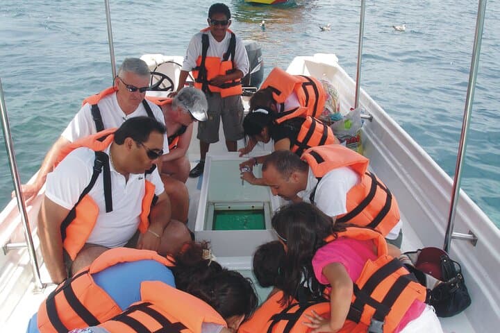 Glass-Bottom Boat to the Arch at Land's End, Cabo San Lucas photo 5