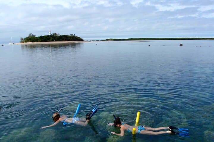 Low Isles Reef Sprinter Snorkeling Tour from Port Douglas photo 2