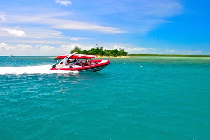 Low Isles Reef Sprinter Snorkeling Tour from Port Douglas photo 3