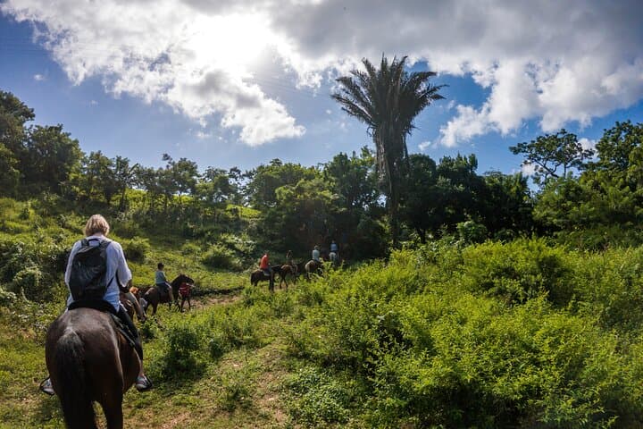 Horseback Riding in Roatan: Flowers Bay, Mountain Trails & Roatan Letters