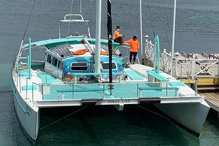 Roatán Catamaran Cruise: Open Bar, Snorkeling & West Bay Views photo 5