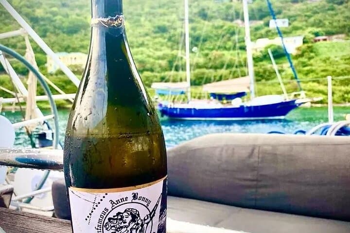 Anne Bonny Daysail: BVI Snorkel, Turtles & Willy T Floating Bar photo 4