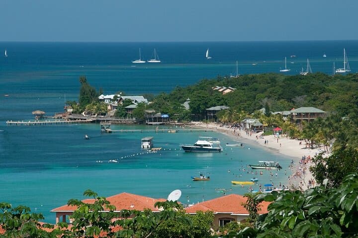 Roatán Sloth & Monkey Sanctuary Tour with West Bay Beach and Chocolate Factory photo 2