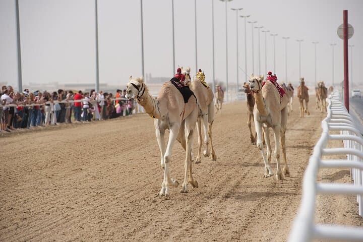 West Coast and Camel Race Track Day Tour — Zekreet & Al-Sahaniya from Doha photo 4