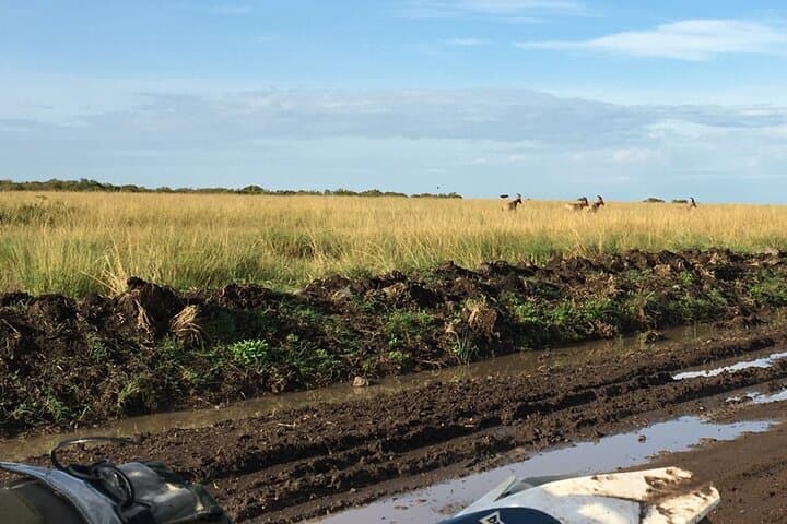 7-Day Off-Road Motorbike Safari: Soysambu Conservancy to Maasai Mara & Lake Naivasha photo 6
