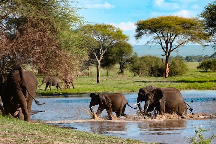 5-Day Tanzania Mid-Range Safari: Tarangire, Serengeti & Ngorongoro photo 1