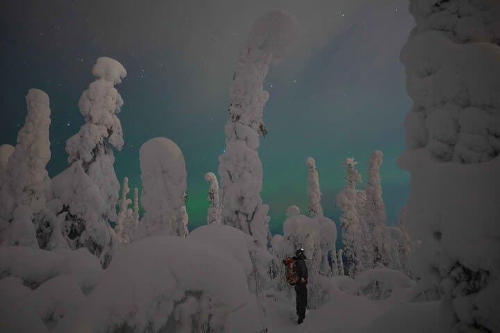 Night Snowshoeing under the Aurora: Rovaniemi Arctic Wilderness Adventure