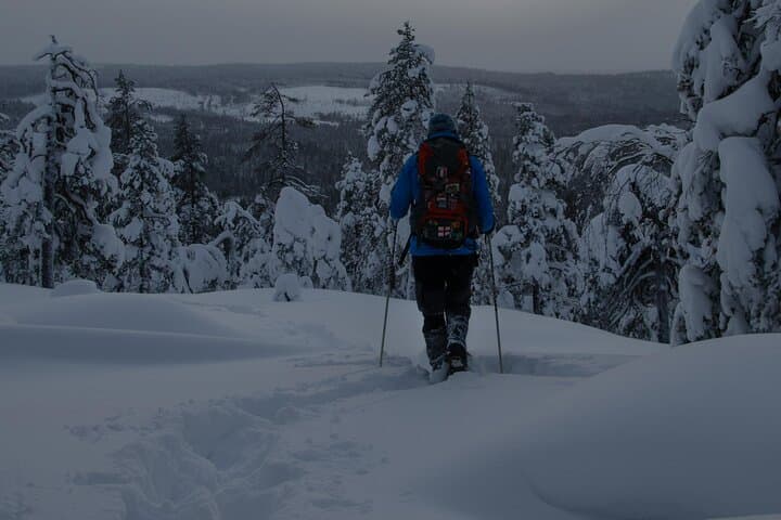 Night Snowshoeing under the Aurora: Rovaniemi Arctic Wilderness Adventure photo 3
