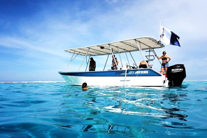 Tahiti Whale Watching from Paea: Small-Boat Humpback Safaris photo 5