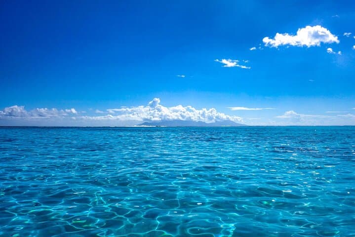 Morning Dolphin & Snorkel in Mara'a Lagoon — Mobydick Tahiti photo 5