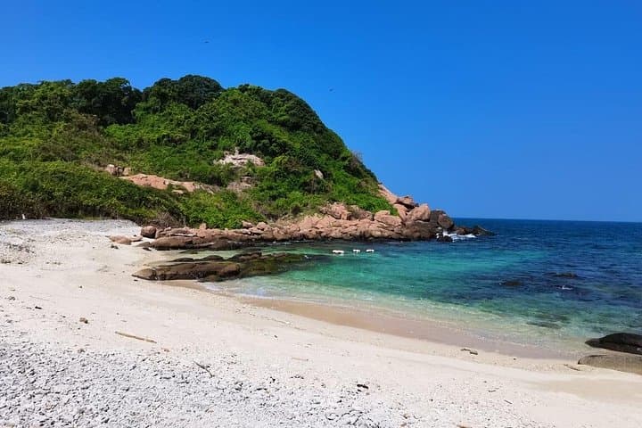 Pigeon Island Snorkeling: Swim with Sharks and Turtles off Nilaveli photo 3