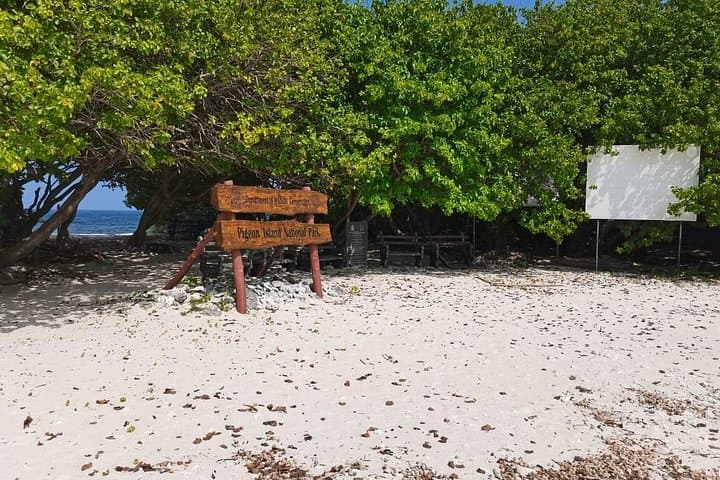 Pigeon Island Snorkeling: Swim with Sharks and Turtles off Nilaveli photo 5