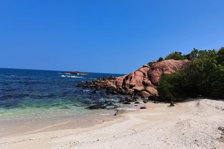 Pigeon Island Snorkeling: Swim with Sharks and Turtles off Nilaveli photo 4