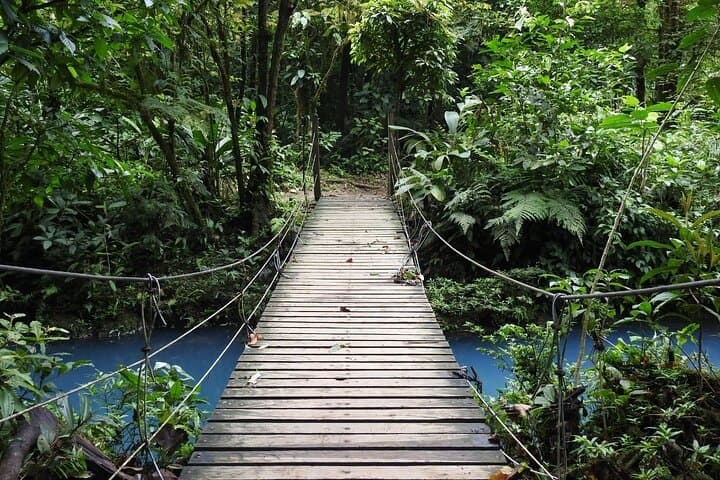 Rio Celeste Nature Hike — Tenorio’s Blue River Walk & Wildlife Viewing photo 4