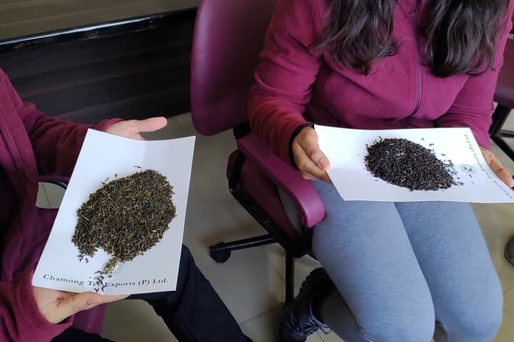 Tea Pluckers' Day in Darjeeling: Full-Day Tea Garden Tour, Factory Visit & Estate Walk photo 2