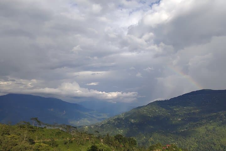 Tea Pluckers' Day in Darjeeling: Full-Day Tea Garden Tour, Factory Visit & Estate Walk photo 6