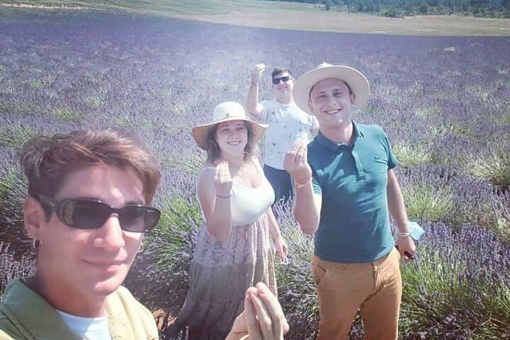 Lavender Discovery: Private Valensole Plateau Tour from Avignon