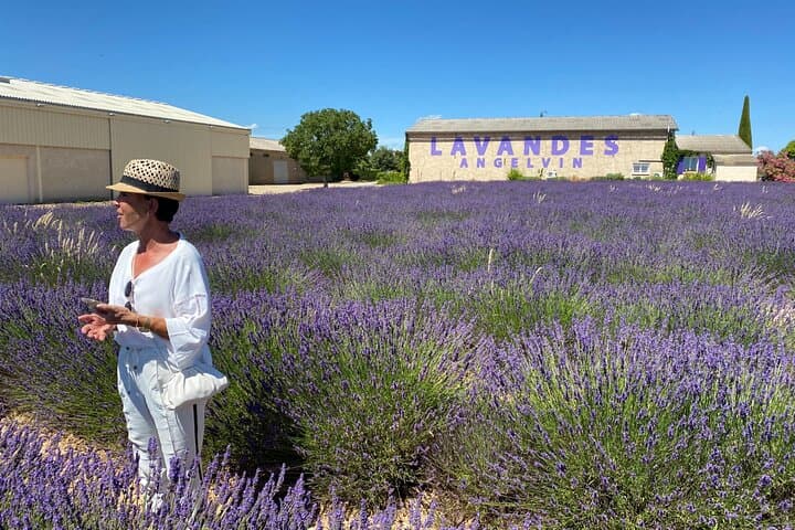 Lavender Discovery: Private Valensole Plateau Tour from Avignon photo 2
