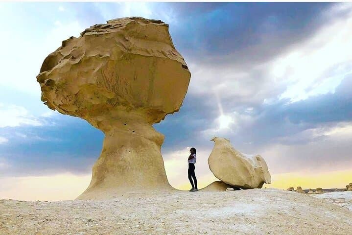White & Black Desert Day Tour from Cairo — White Desert & Bahariya Oasis