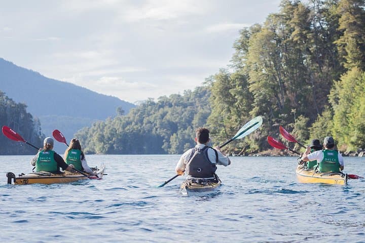 Half-Day Kayak Tour in Nahuel Huapi — Paddle Turquoise Waters from Villa la Angostura