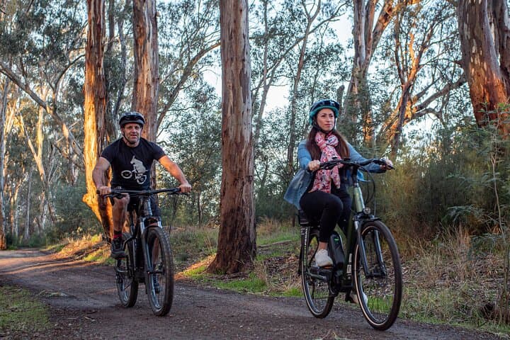 Full-Day E-Mountain Bike Hire on the Murray River: Echuca to Moama Trails photo 2