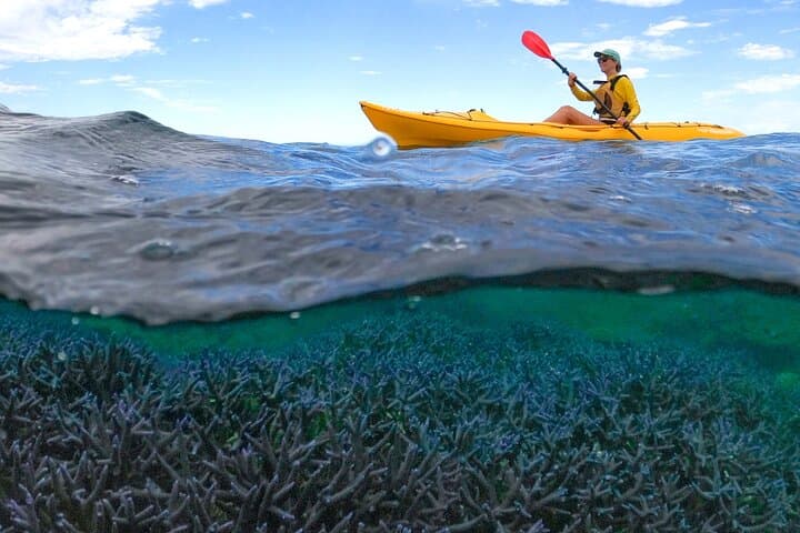 Kayak and Snorkel Ningaloo Reef: Half-Day Coral by Kayak from Exmouth