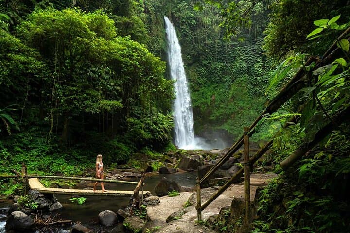 Nungnung Waterfall, Wanagiri Hidden Hills & Bedugul Day Tour from Bali